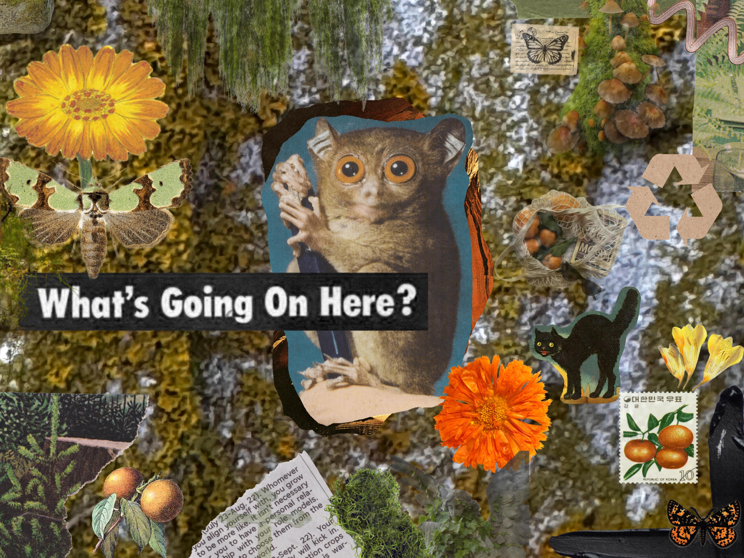 What&#39;s the Deal?